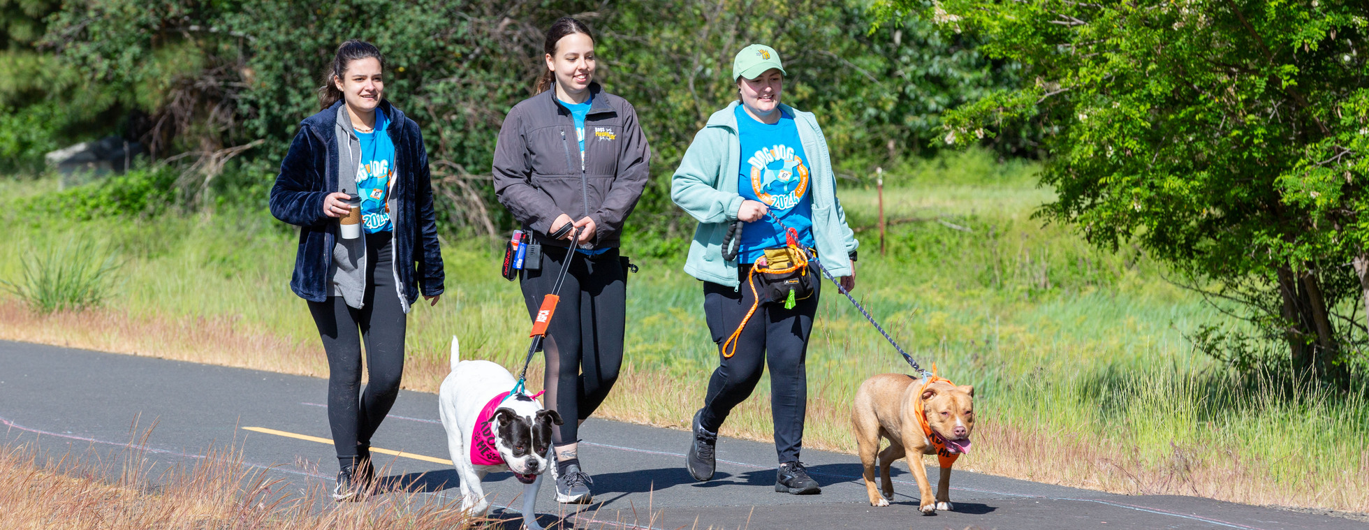 Dog Jog 2025